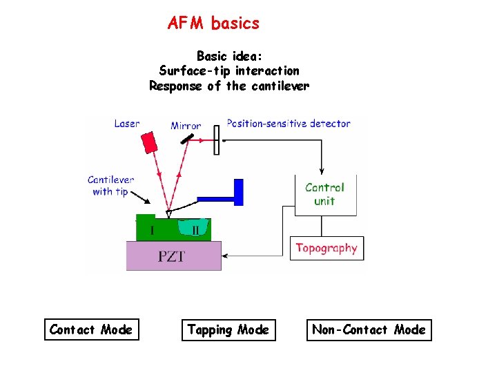 AFM basics Basic idea: Surface-tip interaction Response of the cantilever Contact Mode Tapping Mode