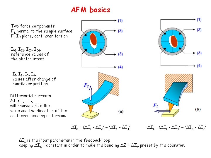 AFM basics Two force components: FZ normal to the sample surface FL In plane,