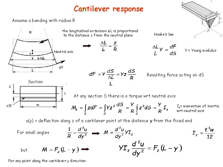 Cantilever response Assume a bending with radius R the longitudinal extension L is proportional