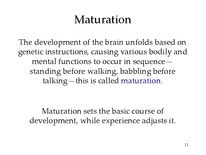 Maturation The development of the brain unfolds based on genetic instructions, causing various bodily Maturation The development of the brain unfolds based on genetic instructions, causing various bodily