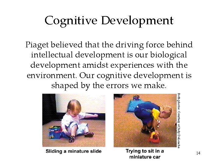 Cognitive Development Piaget believed that the driving force behind intellectual development is our biological Cognitive Development Piaget believed that the driving force behind intellectual development is our biological