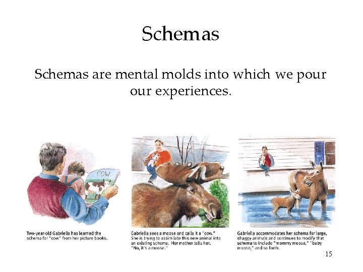Schemas are mental molds into which we pour experiences. 15 Schemas are mental molds into which we pour experiences. 15