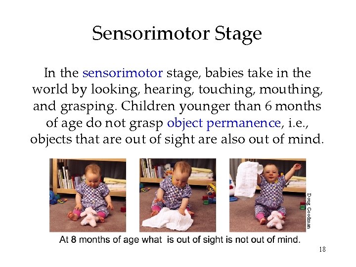 Sensorimotor Stage In the sensorimotor stage, babies take in the world by looking, hearing, Sensorimotor Stage In the sensorimotor stage, babies take in the world by looking, hearing,