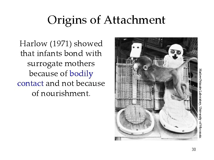 Origins of Attachment Harlow Primate Laboratory, University of Wisconsin Harlow (1971) showed that infants Origins of Attachment Harlow Primate Laboratory, University of Wisconsin Harlow (1971) showed that infants