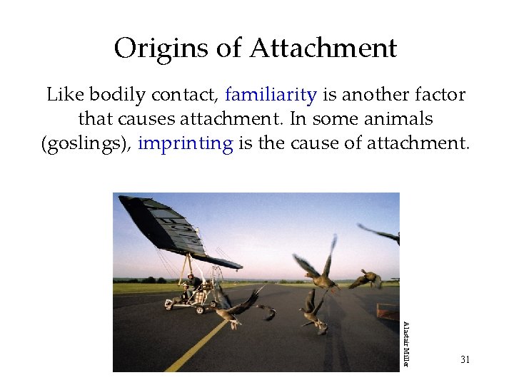Origins of Attachment Like bodily contact, familiarity is another factor that causes attachment. In Origins of Attachment Like bodily contact, familiarity is another factor that causes attachment. In