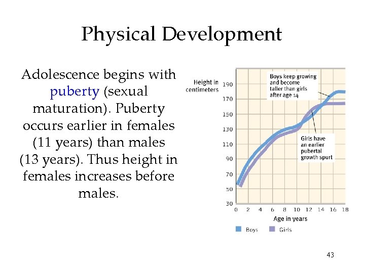 Physical Development Adolescence begins with puberty (sexual maturation). Puberty occurs earlier in females (11 Physical Development Adolescence begins with puberty (sexual maturation). Puberty occurs earlier in females (11