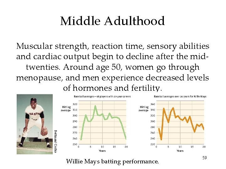 Middle Adulthood Muscular strength, reaction time, sensory abilities and cardiac output begin to decline Middle Adulthood Muscular strength, reaction time, sensory abilities and cardiac output begin to decline
