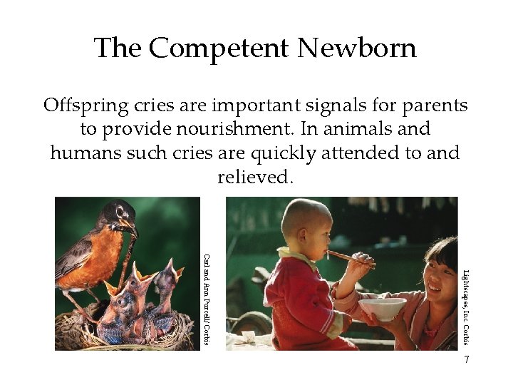 The Competent Newborn Offspring cries are important signals for parents to provide nourishment. In The Competent Newborn Offspring cries are important signals for parents to provide nourishment. In