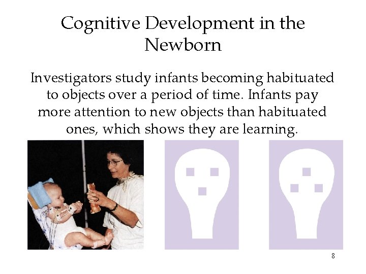 Cognitive Development in the Newborn Investigators study infants becoming habituated to objects over a Cognitive Development in the Newborn Investigators study infants becoming habituated to objects over a