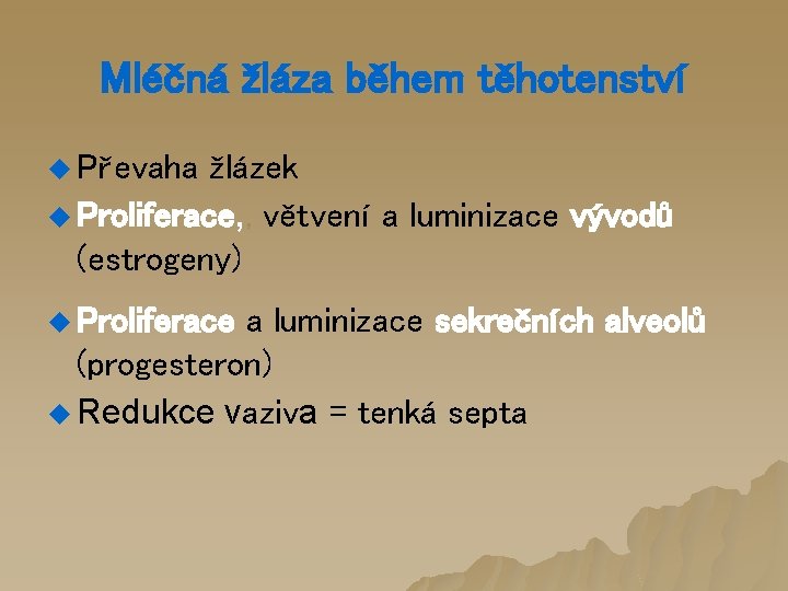 Mléčná žláza během těhotenství u Převaha žlázek u Proliferace, , větvení a luminizace vývodů