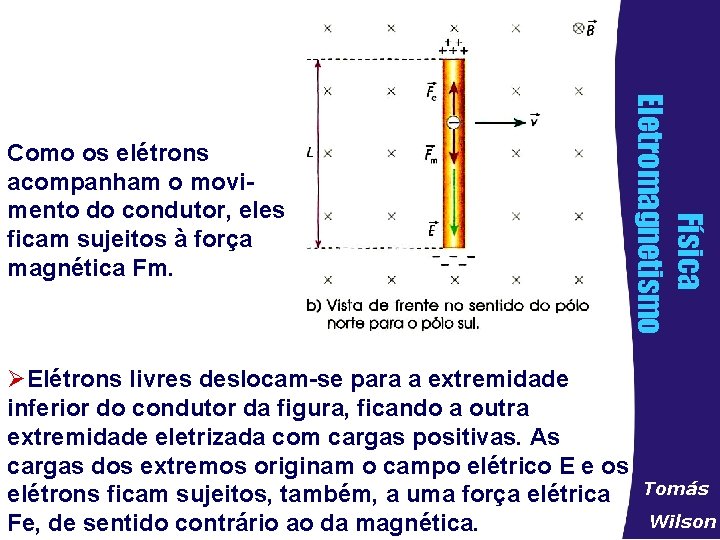 ØElétrons livres deslocam-se para a extremidade inferior do condutor da figura, ficando a outra