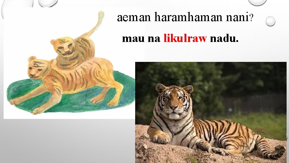 aeman haramhaman nani? mau na likulraw nadu. 