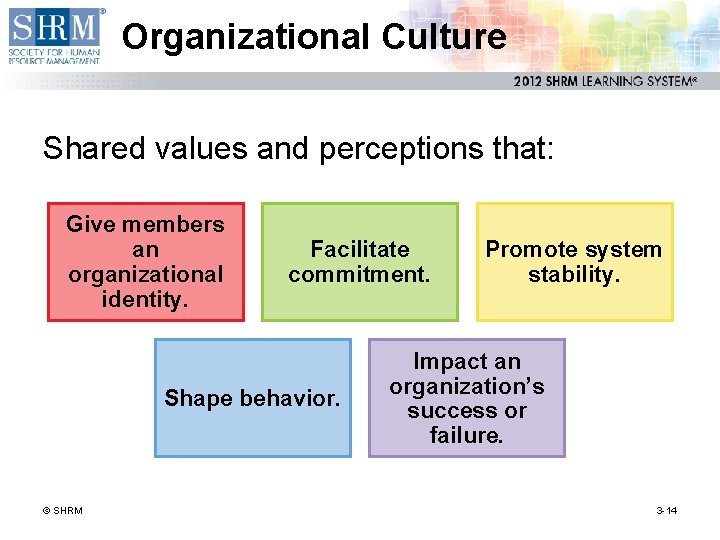 Organizational Culture Shared values and perceptions that: Give members an organizational identity. Facilitate commitment.