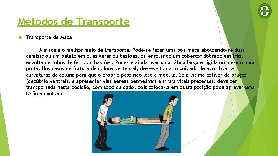 Métodos de Transporte de Maca A maca é o melhor meio de transporte. Pode-se