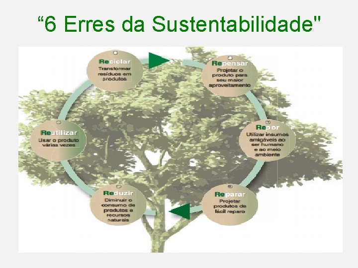 “ 6 Erres da Sustentabilidade" “ 6 Erres da Sustentabilidade"