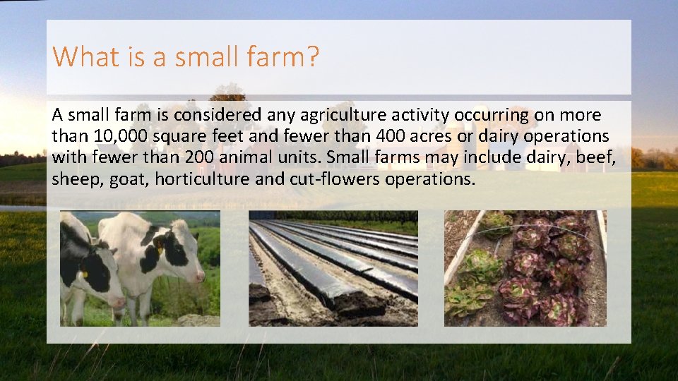 What is a small farm? A small farm is considered any agriculture activity occurring