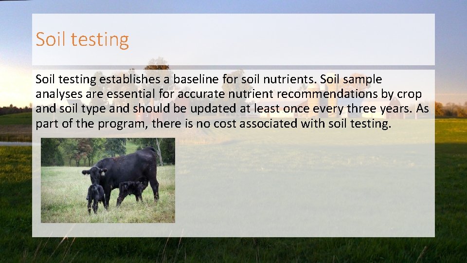 Soil testing establishes a baseline for soil nutrients. Soil sample analyses are essential for