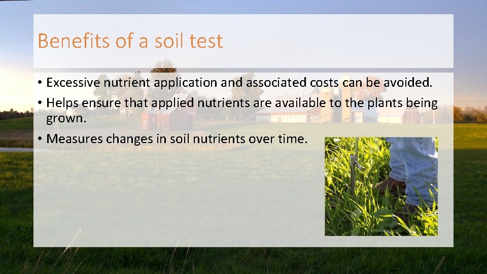 Benefits of a soil test • Excessive nutrient application and associated costs can be