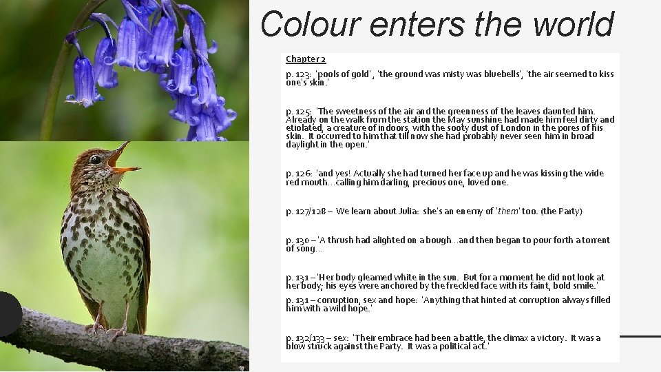 Colour enters the world Chapter 2 p. 123: ‘pools of gold’ , ‘the ground Colour enters the world Chapter 2 p. 123: ‘pools of gold’ , ‘the ground