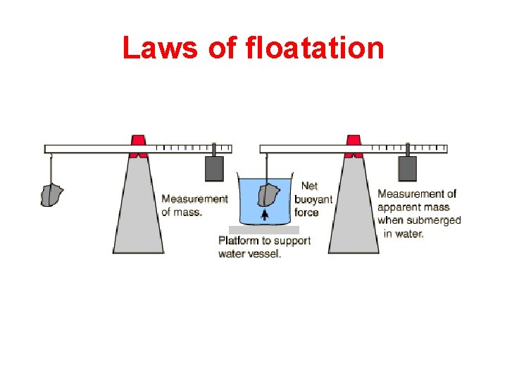 Laws of floatation 