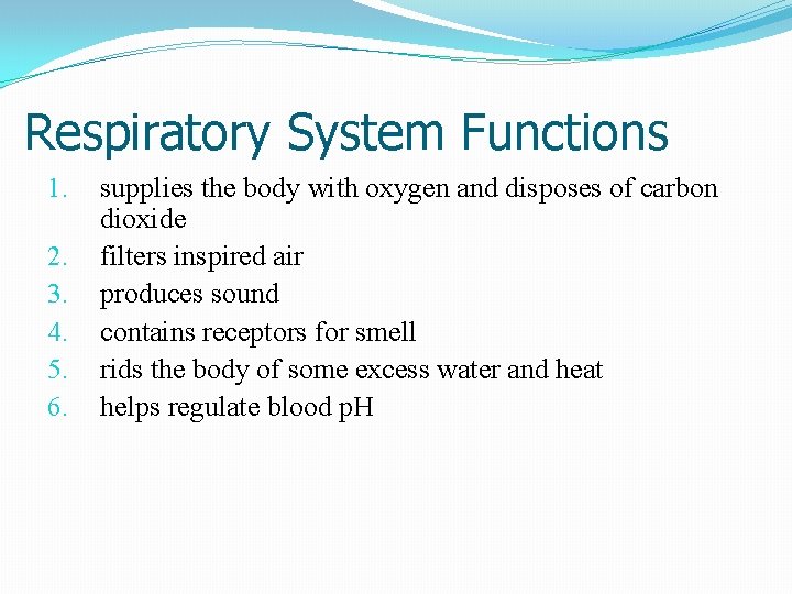 Respiratory System Functions 1. 2. 3. 4. 5. 6. supplies the body with oxygen