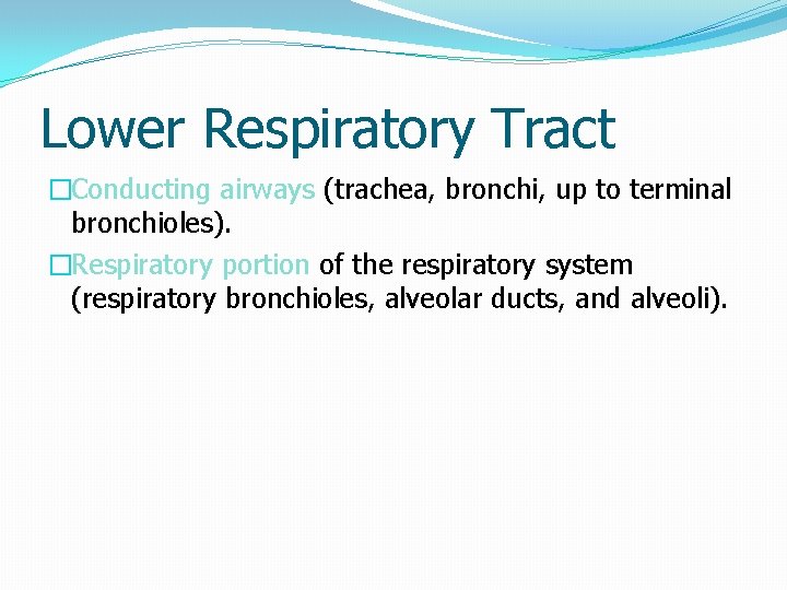 Lower Respiratory Tract �Conducting airways (trachea, bronchi, up to terminal bronchioles). �Respiratory portion of