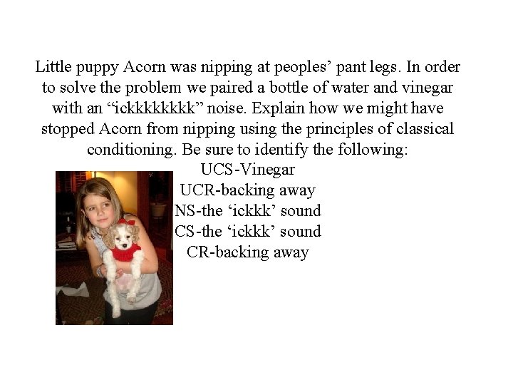 Little puppy Acorn was nipping at peoples’ pant legs. In order to solve the