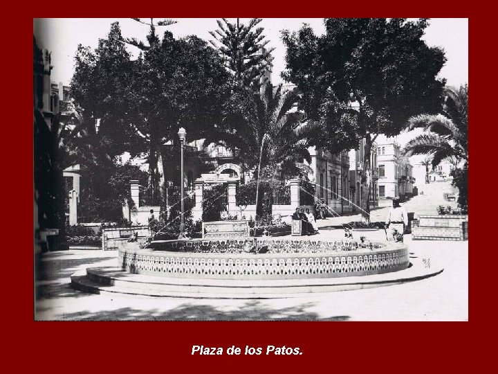 Plaza de los Patos. 