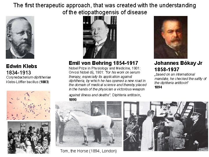 Biological therapy for the manipulation of complement system