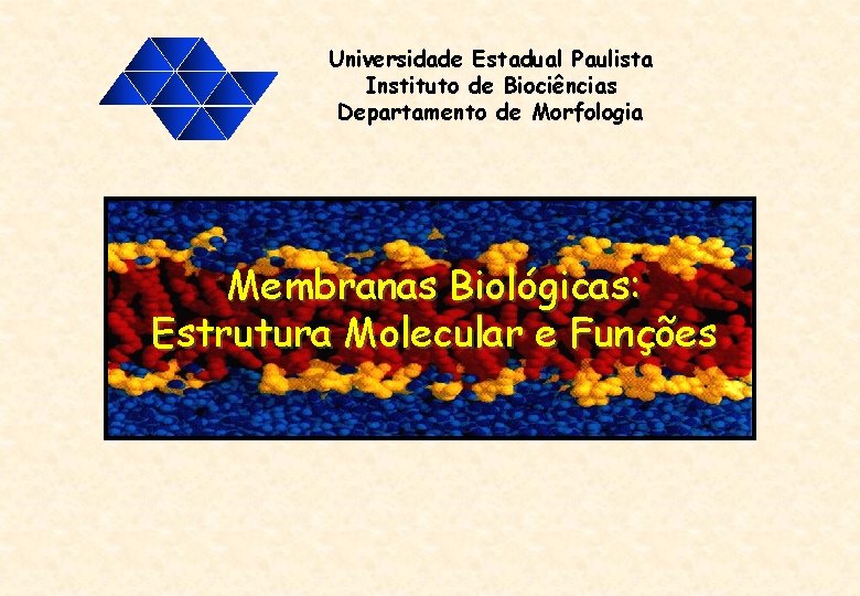 Universidade Estadual Paulista Instituto de Biociências Departamento de Morfologia Membranas Biológicas: Estrutura Molecular e