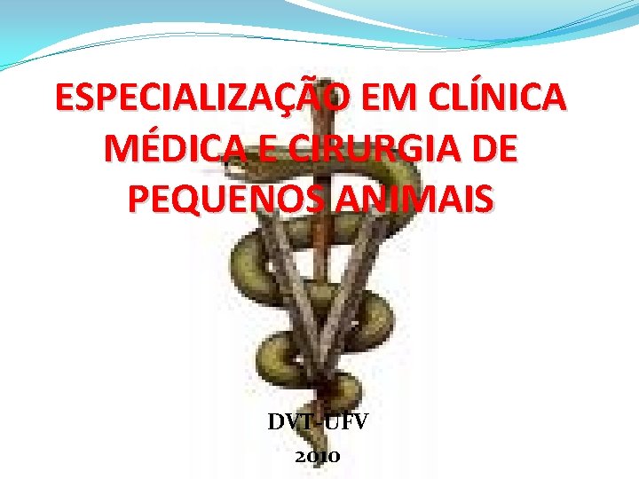 ESPECIALIZAÇÃO EM CLÍNICA MÉDICA E CIRURGIA DE PEQUENOS ANIMAIS DVT-UFV 2010 