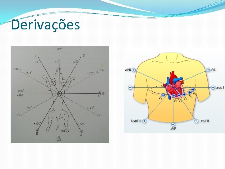 Derivações 