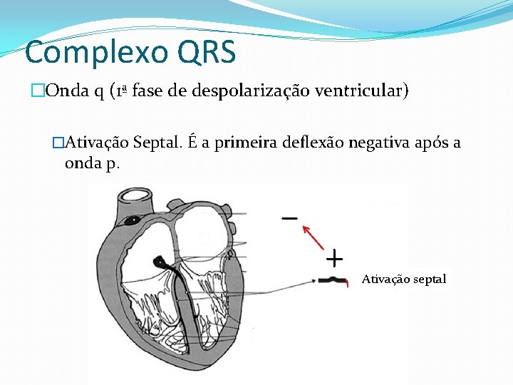 Complexo QRS �Onda q (1ª fase de despolarização ventricular) �Ativação Septal. É a primeira