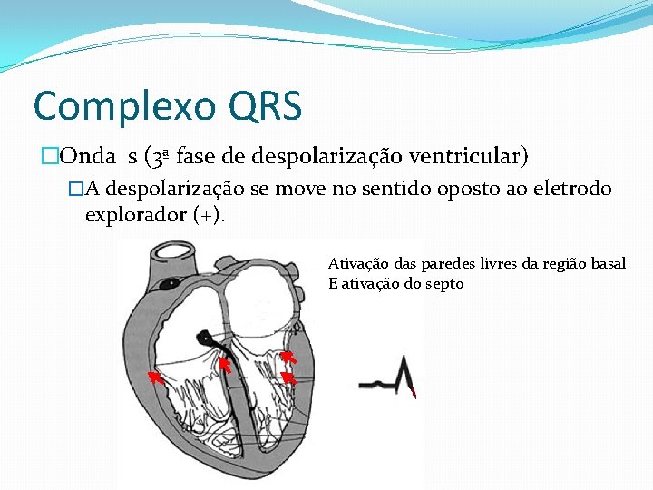 Complexo QRS �Onda s (3ª fase de despolarização ventricular) �A despolarização se move no
