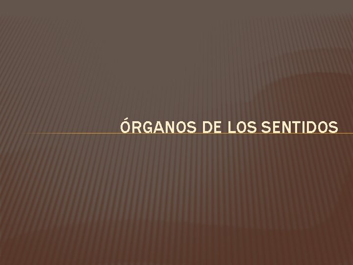 ÓRGANOS DE LOS SENTIDOS 