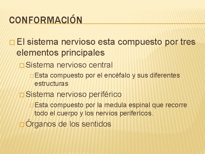 CONFORMACIÓN � El sistema nervioso esta compuesto por tres elementos principales � Sistema nervioso