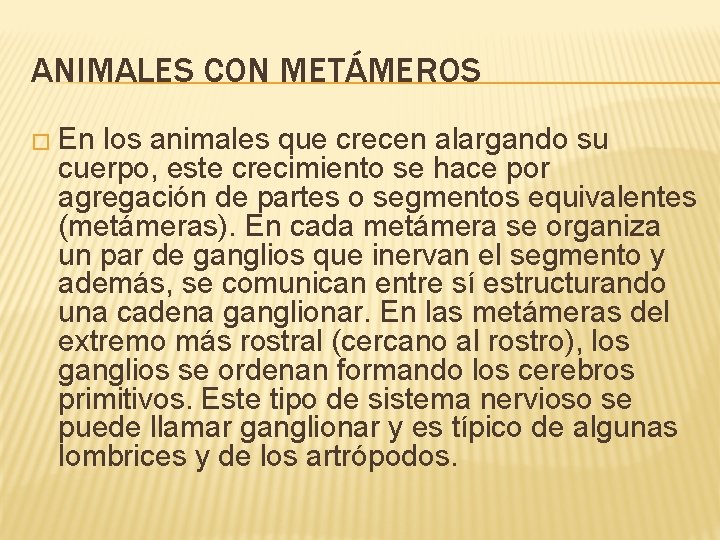 ANIMALES CON METÁMEROS � En los animales que crecen alargando su cuerpo, este crecimiento