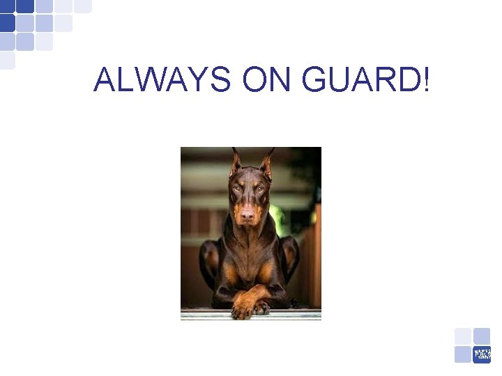 ALWAYS ON GUARD! MIDWEST PNETWORK BIS 
