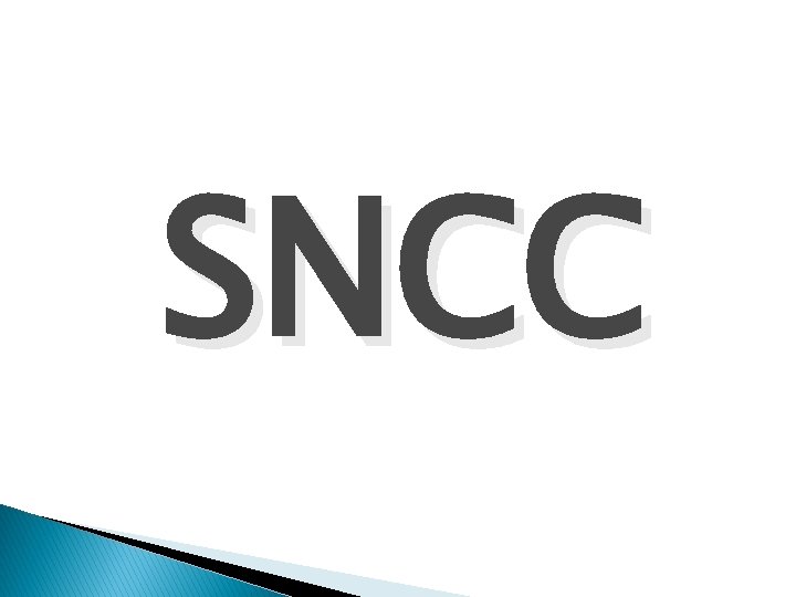 SNCC 