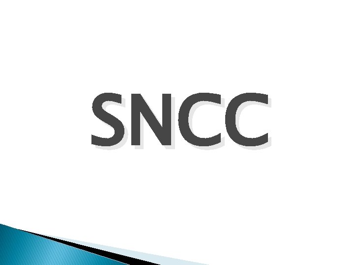 SNCC 