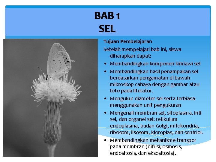 BAB 1 SEL Tujuan Pembelajaran Setelah mempelajari bab ini, siswa diharapkan dapat: • Membandingkan
