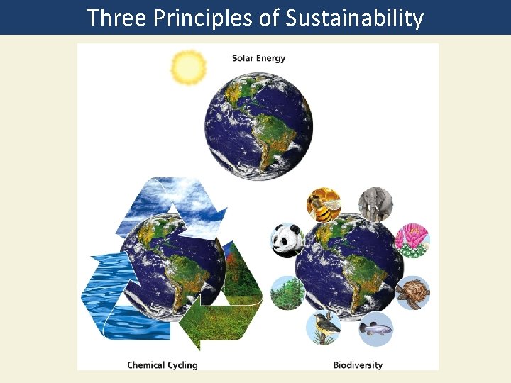 Three Principles of Sustainability 