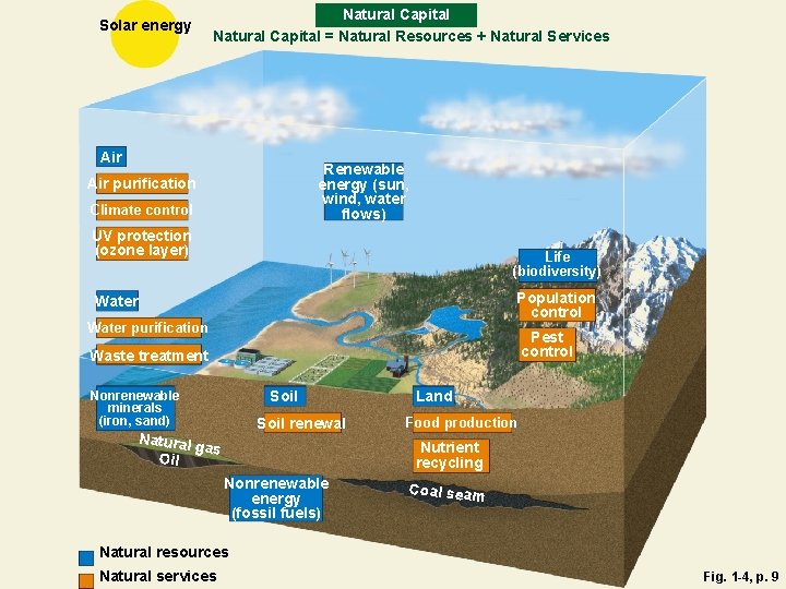 Solar energy Natural Capital = Natural Resources + Natural Services Air Renewable energy (sun,