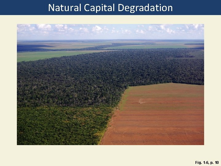 Natural Capital Degradation Fig. 1 -6, p. 10 