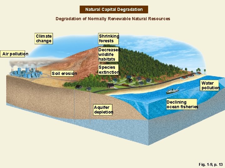 Natural Capital Degradation of Normally Renewable Natural Resources Climate change Shrinking forests Decreased wildlife