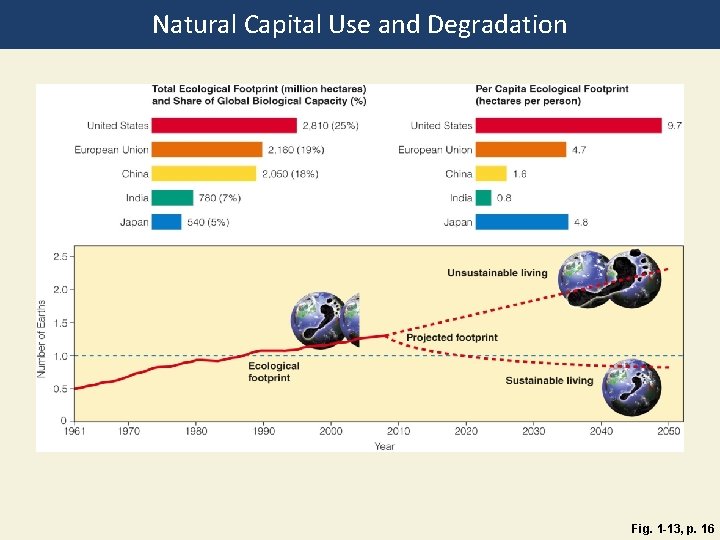 Natural Capital Use and Degradation Fig. 1 -13, p. 16 