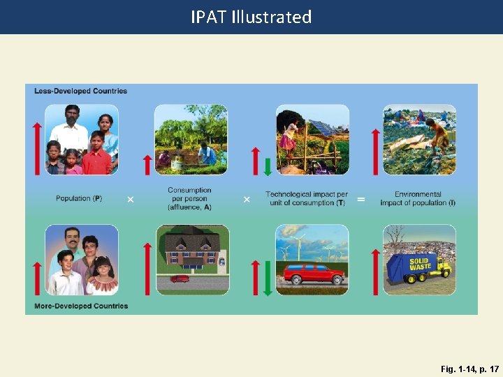 IPAT Illustrated Fig. 1 -14, p. 17 