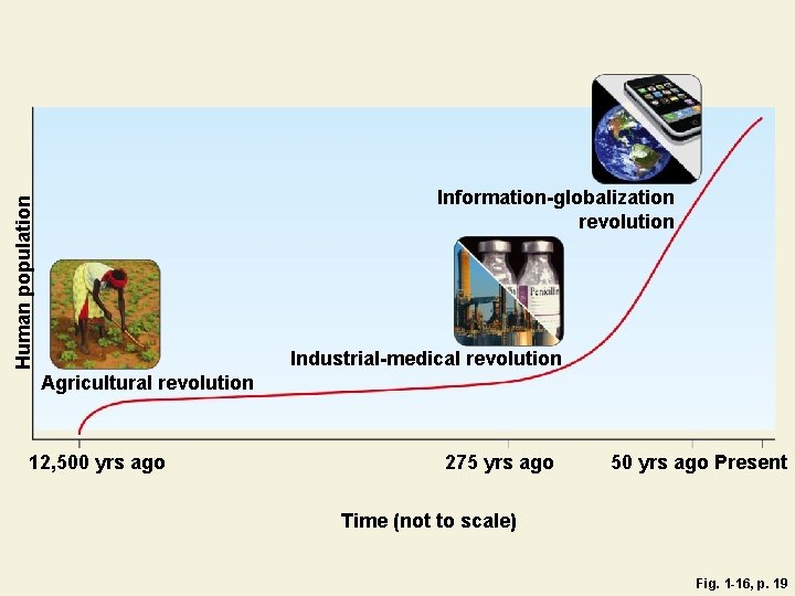 Human population Information-globalization revolution Industrial-medical revolution Agricultural revolution 12, 500 yrs ago 275 yrs