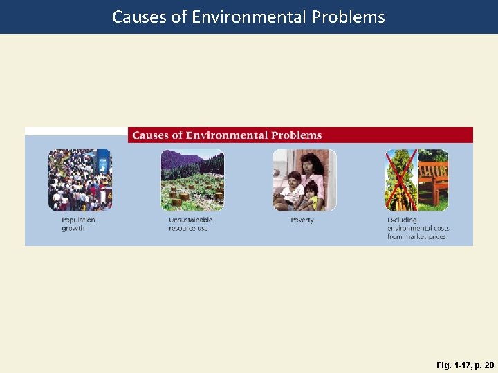 Causes of Environmental Problems Fig. 1 -17, p. 20 