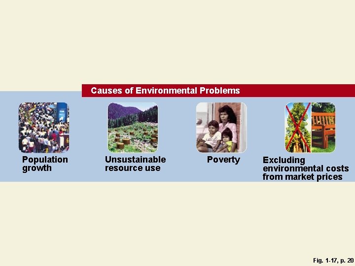 Causes of Environmental Problems Population growth Unsustainable resource use Poverty Excluding environmental costs from